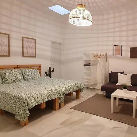 Mojo Boutique Guest house Jerez de la Frontera